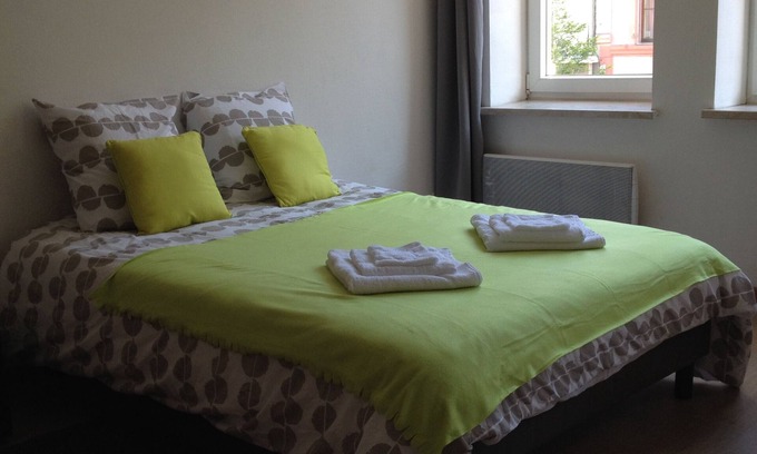 Forbach Apartment | The chestnut - spacious studio in the city center