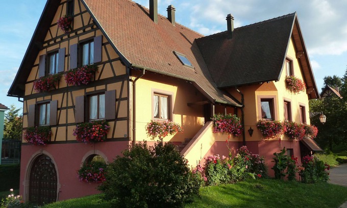 Epfig Cottage | The Chestnut tree. Traditional Alsace house. View of the vineyard and St Odile