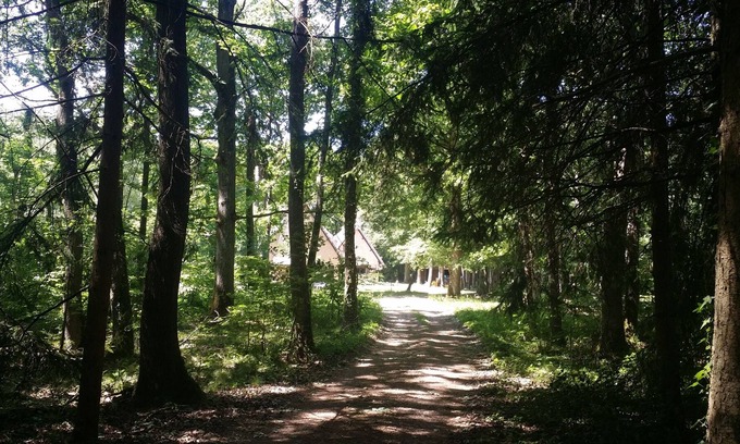 St-Andre-de-l'Eure Cottage | The cottage in the heart of the forest