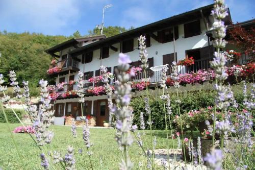 Feltre House | The Duck's Cottage