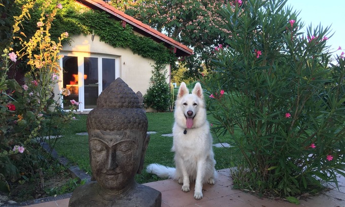 Cagnotte House | The Farm Buddhas, near Dax, 40mn Seignosse/Bayonne, sleeps 4-6