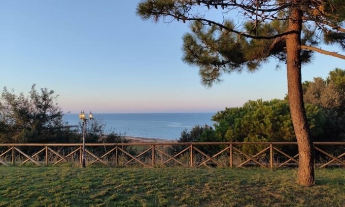 Vasto Villa | The Fox In The Pine Forest