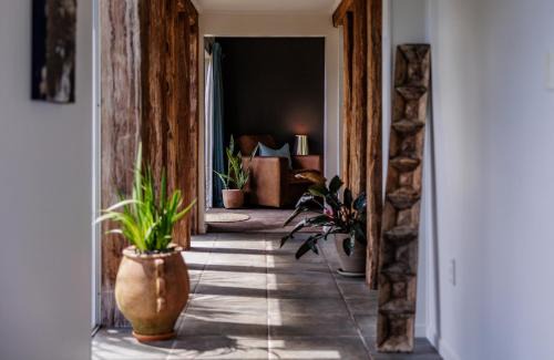 Wainui House | The Green House - Bay of Islands Holiday Home