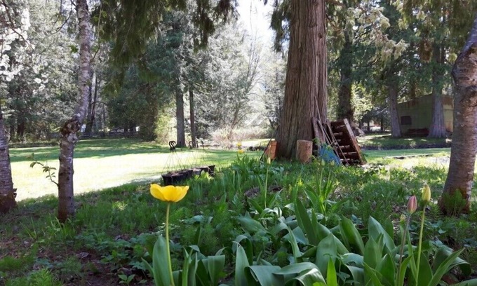 Mount Currie Hotel | The Hitching Post Motel