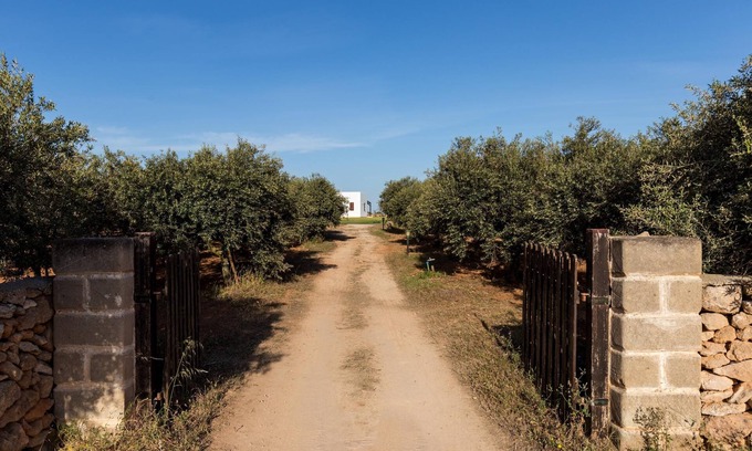 Favignana House | The Homes In Favignana: White