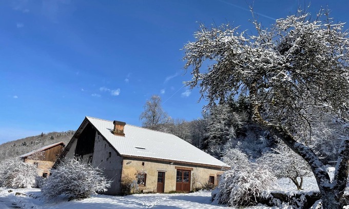 Tendon House | The Hut, in the middle of the woods, not far from the waterfalls