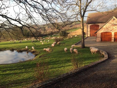 Hay-on-Wye House | The Motor House