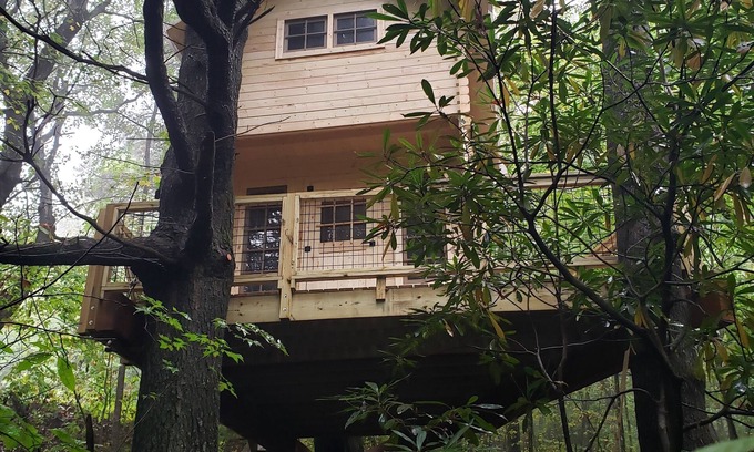 Zirconia Apartment | The Music Box Treehouse