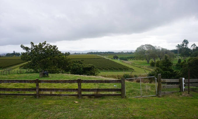 Gisborne House | The name "Vineyard Vista" reflects the setting of this property.