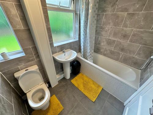 Wolverhampton Apartment | The oak tree wolves