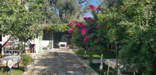 Qazim Pali House | The Olive Grove