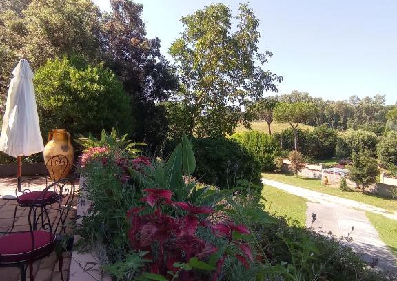 Cassia Villa | The Olive Grove Roma Guest House