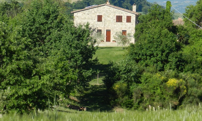 Loreto Other | THE OLIVE TREE APARTMENT