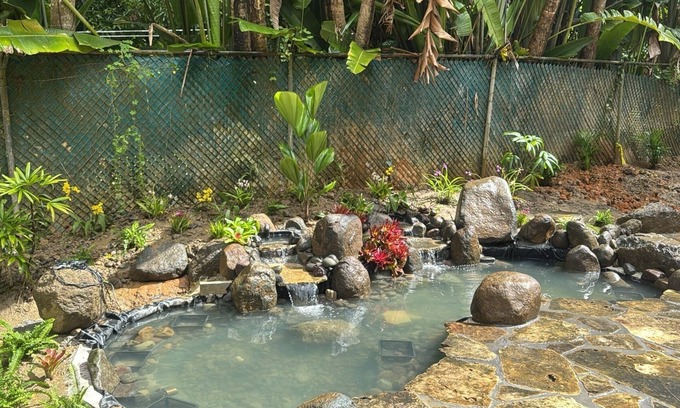 Rio Piedras Bed & Breakfast | The ONLY glamping site in the New Millennium Forest in San Juan, PR