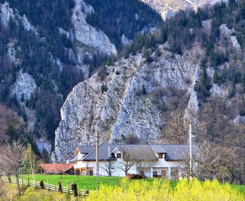 Moieciu House | The Origin ● Mountain Guesthouse ● Magura