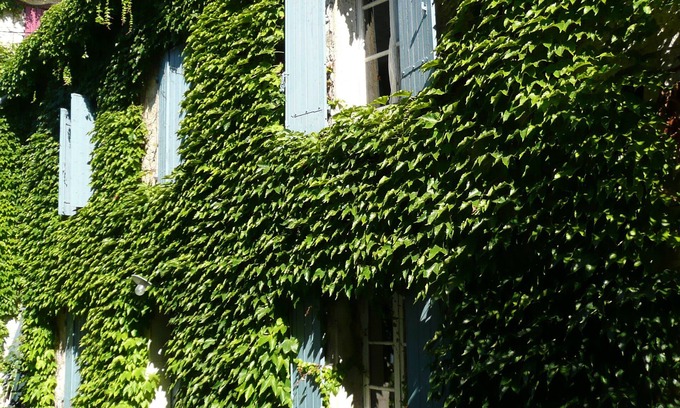 Saint-Didier House | The other side of the washhouse in Saint Didier