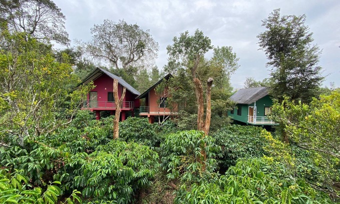 Kaimane Resort | The Rain Tree Resort