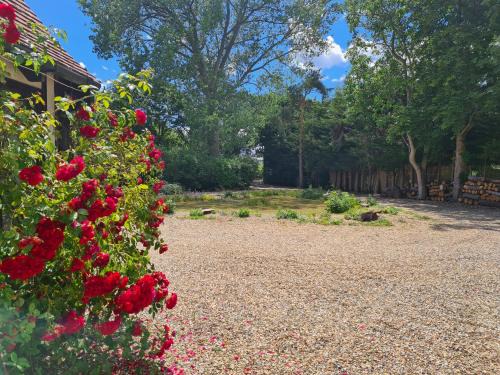 Aldermaston Wharf Apartment | The Reading apartment with gardens and koi pond