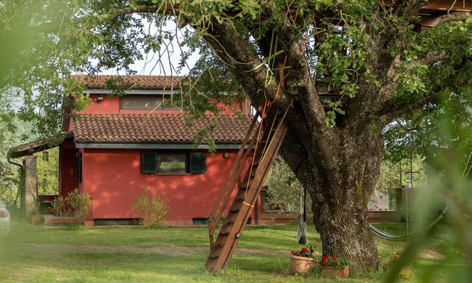 Canale Monterano Villa | The Red House in the Green Oasis