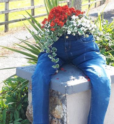 Birr Bed & Breakfast | The Ring Farmhouse