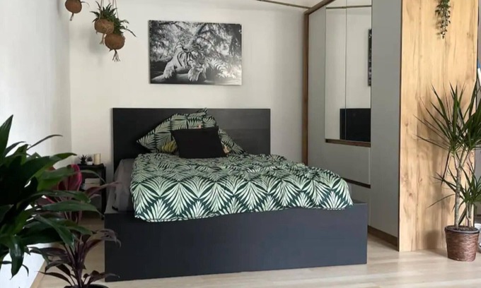 Nauwieser Viertel Apartment | The Saar Jungle Design Apartment im Herzen von Saarbrücken