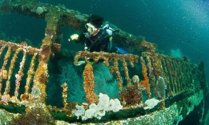 Daanbantayan Cabin | The Shark's Tail Dive Center