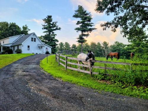 Belchertown House | The Suite at Liberty Woods
