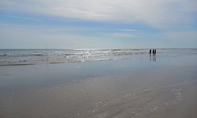 Allandale House | The Turtles Nest, Freshly remodeled, All New! 1.5 miles to beach .
