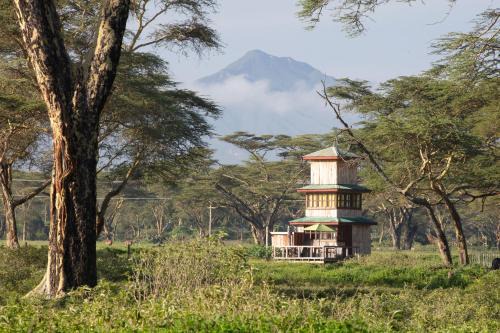 Naivasha House | The Watch Tower 360' Bed View Shower Understars