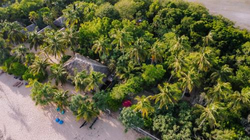 Tangalle House | The Waves Beach Chalets