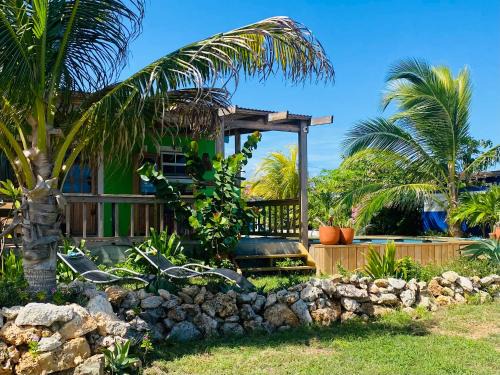 Sero Cadushi Bed & Breakfast | The WildSide Aruba Caribbean Cabanas