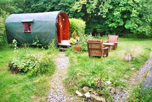 Fintown Other | The Wonderly Wagon