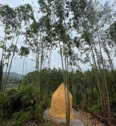 Soc Son Cabin | Thiền Buông Thả