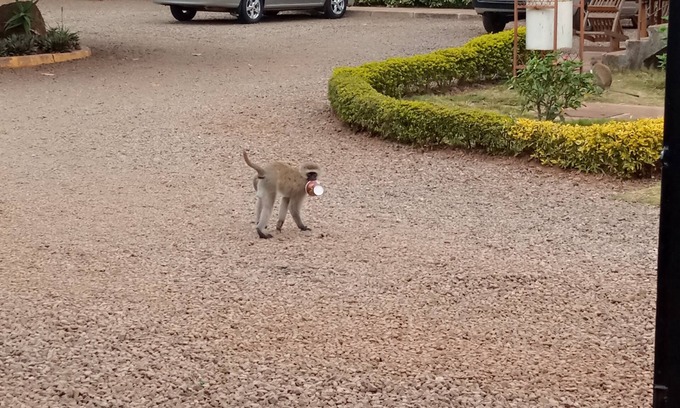 Thika House | Thika Nairobi Guests House and Accommodation facilities