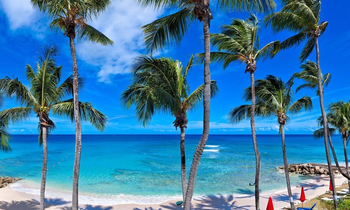 Saint Peter Parish Condo | This Penthouse is situated directly on a beautiful sandy beach and has a wonderful roof deck terrace