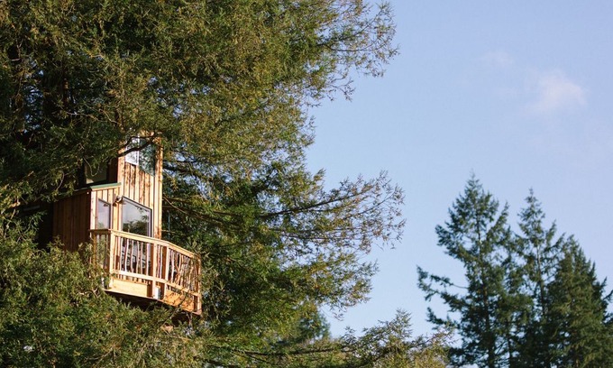 Dundee House | Three Level Treehouse in Wine Country