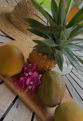 Le Moule Apartment | Ti’Bou des Îles de Guadeloupe