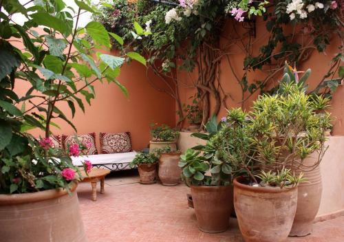 Mirleft House | Tifawin Home And Garden
