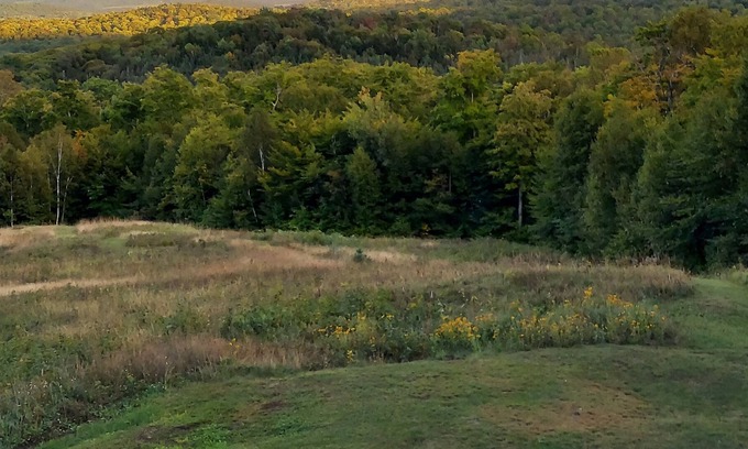 Lyndon Center House | Timber-frame home on 96 acres with view of White Mountains