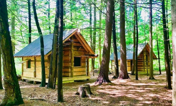Newtonville Cabin | TimberTown Cabin #1 at June Farms, GLAMPING at it's finest!