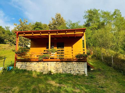Vultureni House | Tiny Heaven Chidea