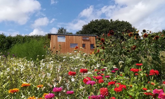 Saint-Segal House | Tiny house close to the Sea & Ocean (20 min.) on an organic agro-ecologic farm.