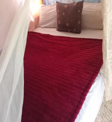 Negril House | Tiny House lLttle Cabin