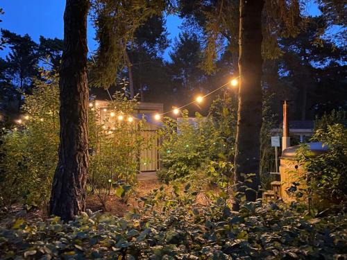 Beekbergen-Zuid House | Tiny House op de Veluwe