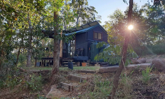 Bollier Cabin | Tiny in The Treesn- Cute, Spacious Tiny House set privately amongst the trees.n