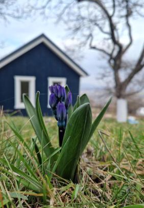 Agapia House | Tiny Nest