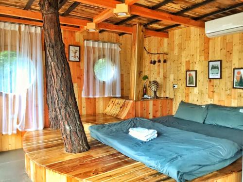 Soc Son Apartment | TinyMoon