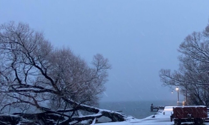 Glenorchy Cabin | Toddy’s Batch