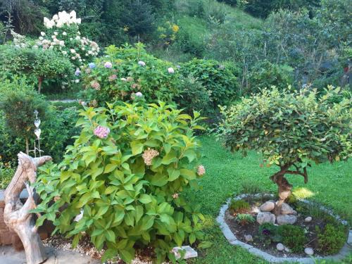 Volders Apartment | TOP Garden View