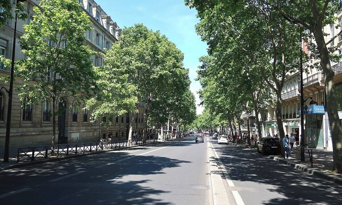 Latin Apartment | Top-of-the-Range Designer Stay–Daily Housekeeping –St Germain/Luxembourg Gardens